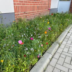 Škola s květinovými proužky
