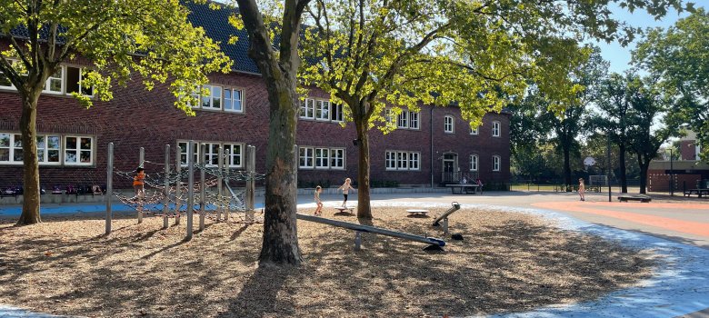 School playground with a climbing net and seesaws.