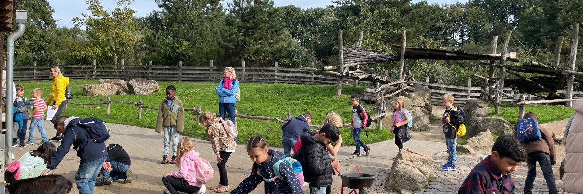 Rheine Zoo - Petting zoo Rheine Zoo. Children are in the petting zoo.