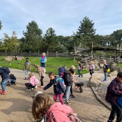 Rheine Zoo. Children are in the petting zoo.