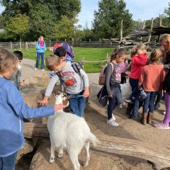 Rheine Zoo - Children are at the petting zoo.