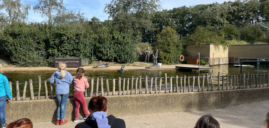 Rheine Zoo. Children watch the seal show.
