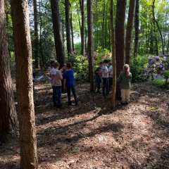 The children measure trees