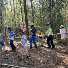 Children create a tree from forest materials