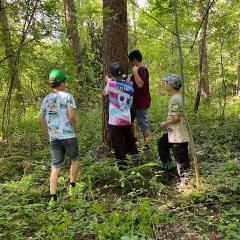 The children measure the diameter of a tree