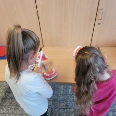 Dental health project