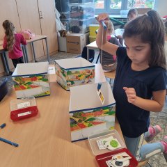 Dental health project