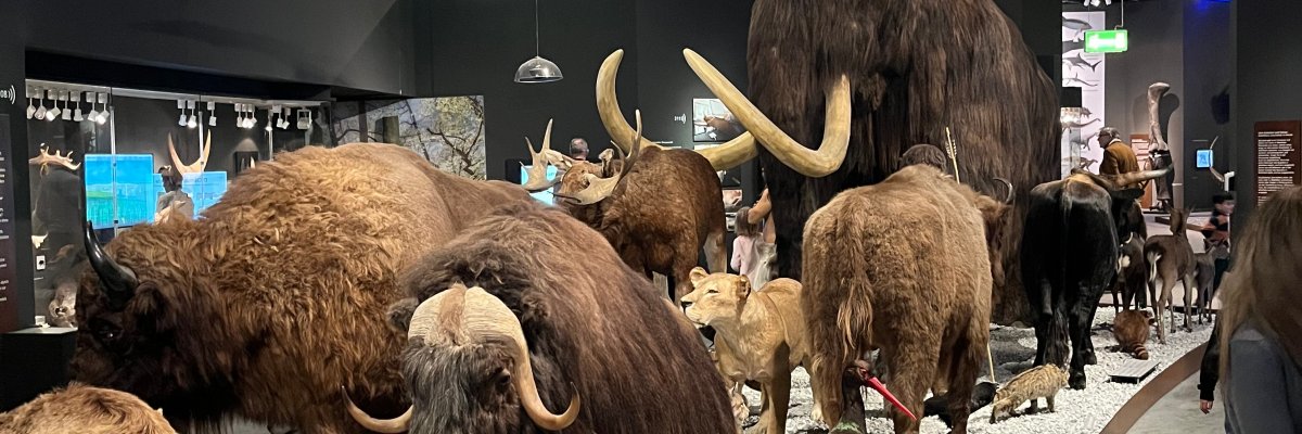 Exposición "La biodiversidad de Westfalia en transición" Una exposición que muestra la cambiante biodiversidad de Westfalia.