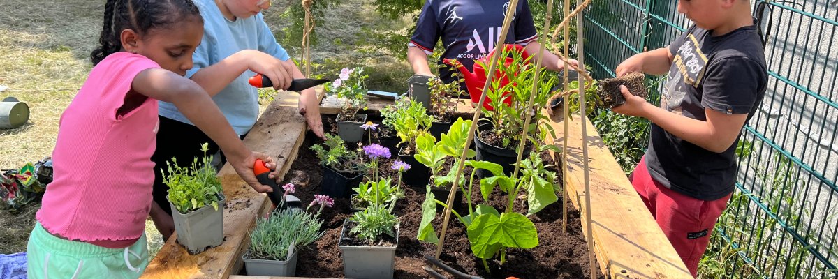 Niños plantando plantas en el huerto escolar.