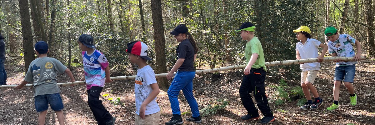 Crear un árbol a partir de materiales forestales Los niños construyen un árbol con materiales del bosque