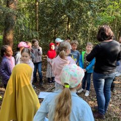 Los niños construyen un árbol con materiales del bosque