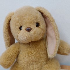 Le doudou Léonie est la lapine affectueuse de l'équipe du service social scolaire.