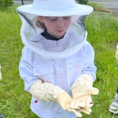 Egy gyermek védőruhában méheket tart a Bienen AG-ban