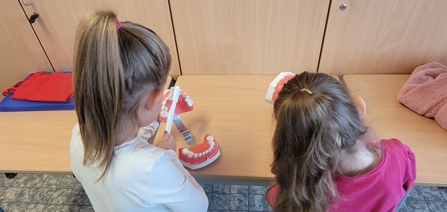 Diş sağlığı projesi