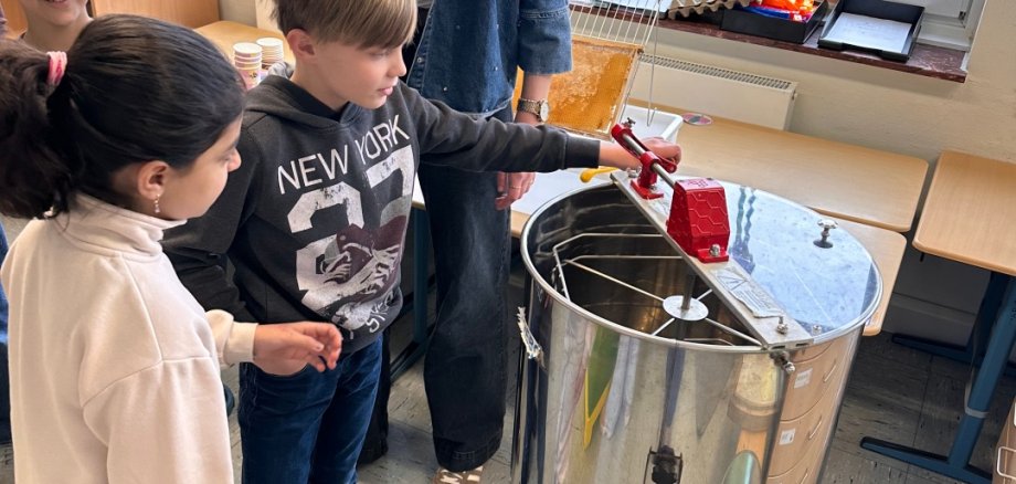 Візит бджоляра Візит бджоляра