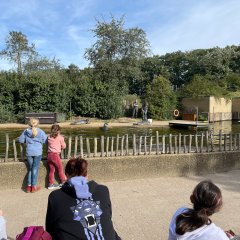 Zoo Rheine. Kinder schauen sich die Robbenshow an.