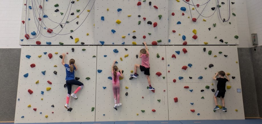 Kletterwand wieder in Benutzung