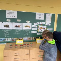 Ausstellung von Bienenplakaten